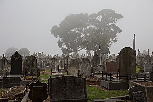 墓碑,墓地,墨尔本,维多利亚,澳大利亚