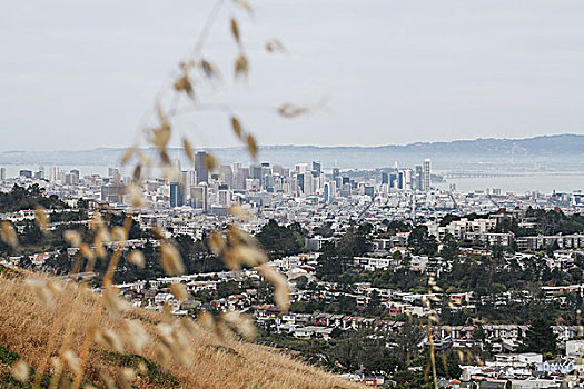 风景,城市,蓝天,旧金山,加利福尼亚,美国