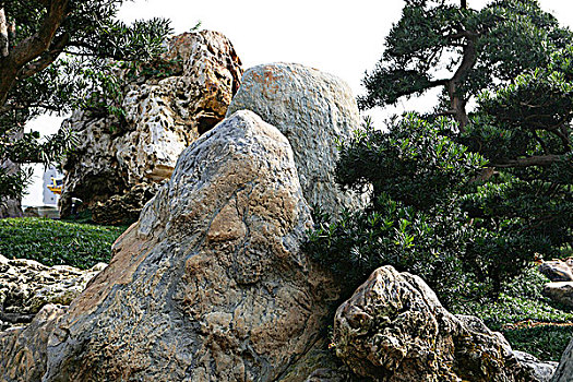 女修道院,中式花园,山,香港