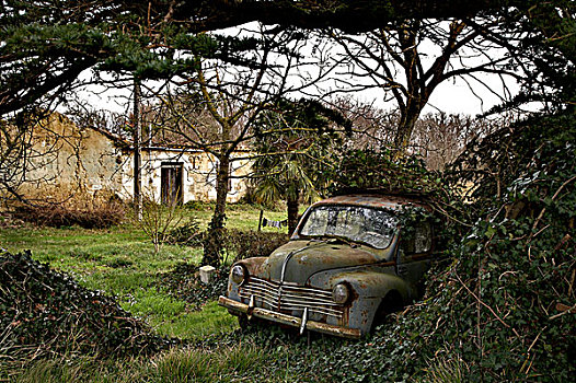 老,雷诺汽车,花园,常春藤,屋顶,背影,毁坏,房子,法国南部,二月,2009年