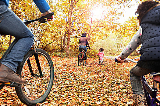 年轻家庭,骑自行车,秋天,木头