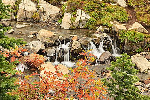 秋色,溪流,靠近,乐园,住宿,山,雷尼尔山,国家公园,美国