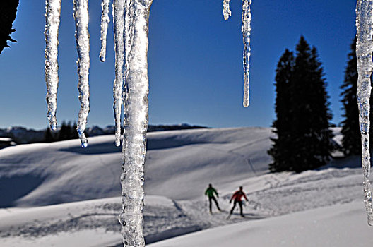 越野滑雪者,区域,巴伐利亚,德国,欧洲