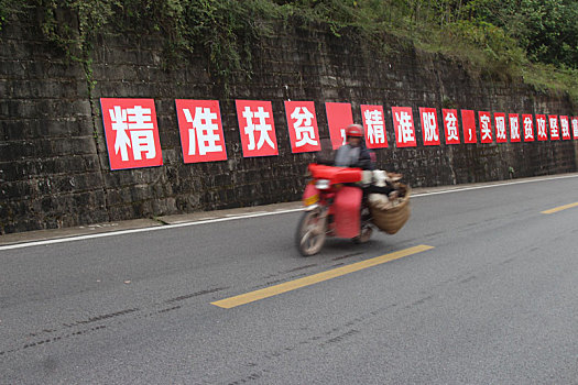 重庆市云阳县外郎乡的大豆黄豆种植丰收