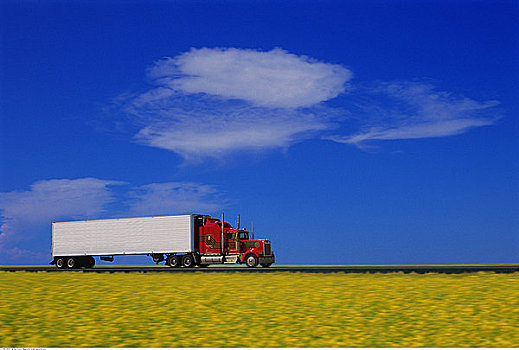 运输,卡车,靠近,油菜地,艾伯塔省,加拿大