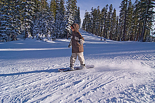 男孩,滑雪板,塔霍湖,滑雪胜地,靠近,太浩湖,加利福尼亚