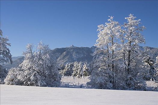 积雪,冬季风景,山,荒野,上巴伐利亚,德国