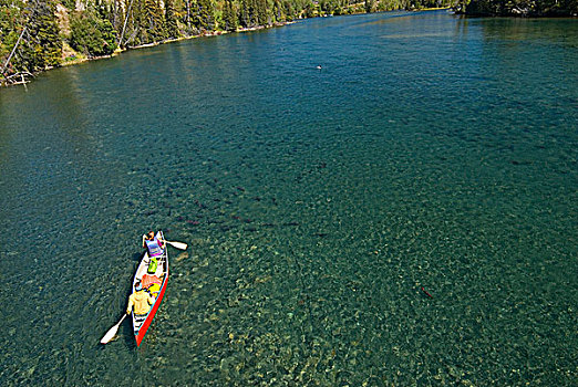 独木舟,上方,红大马哈鱼,河,不列颠哥伦比亚省,加拿大