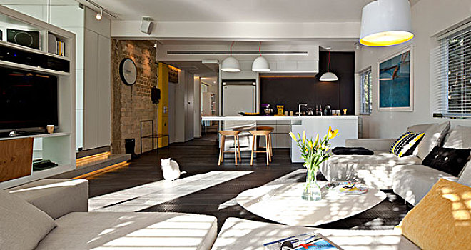 开放式格局,厨房,客厅,房子,以色列,中东