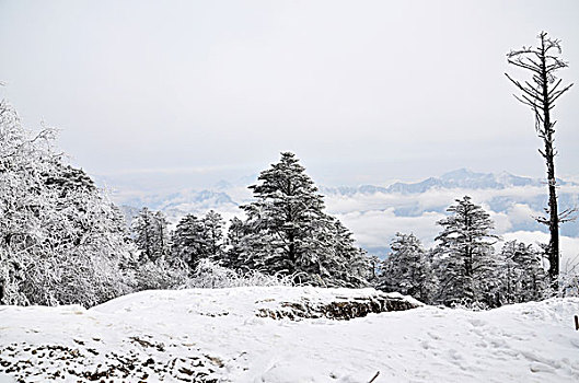 成都西岭雪山美丽雪景