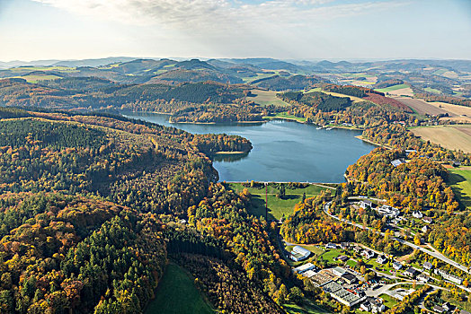 坝,墙壁,金色,十月,藻厄兰,北莱茵威斯特伐利亚,德国