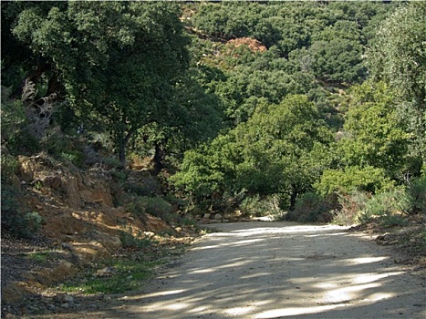 乡村道路,山,西班牙