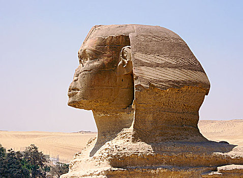 景色,狮身人面像,脸,埃及