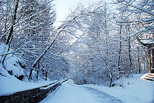 雪景