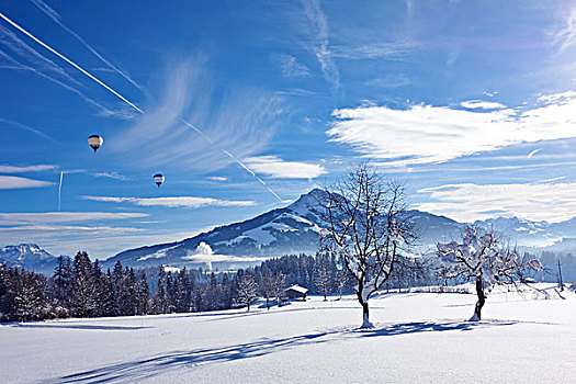 自然,雪中,奥地利