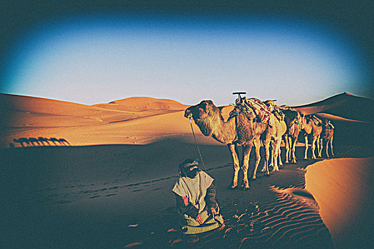 撒哈拉沙漠驼队