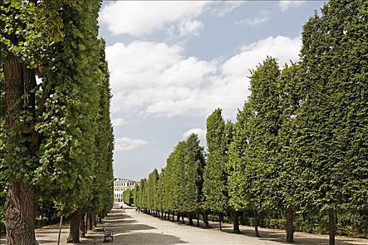 道路,城堡,美泉宫,维也纳,奥地利