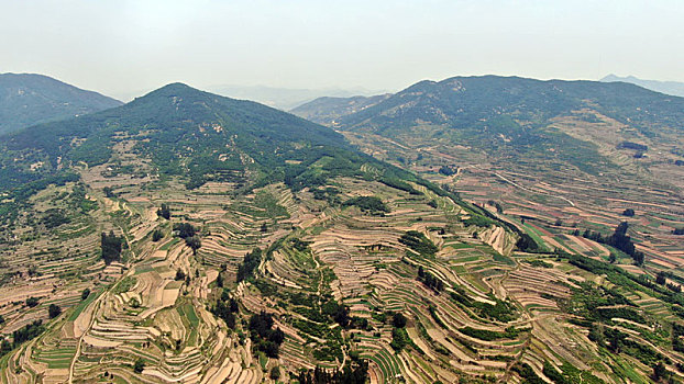 航拍江北最美梯田--山东莒县龙山梯田,蜿蜒伸展蔚为壮观