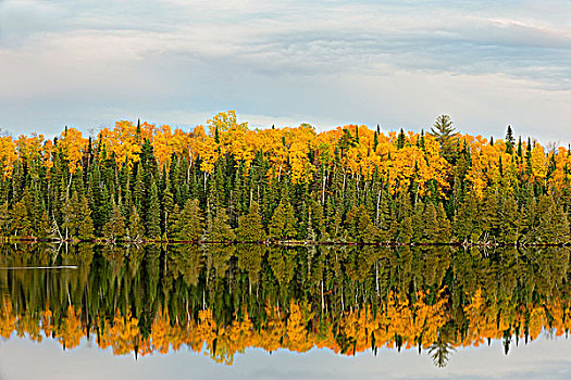 日落,天空,上方,小,加拿大地盾,湖,秋天,白杨