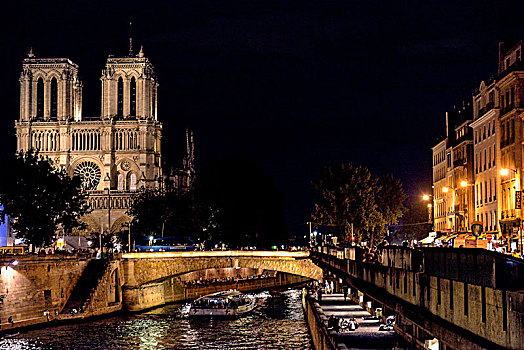 法国,巴黎,夜景,巴黎圣母院,大教堂,银行,赛纳河