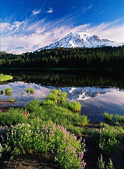 雷尼尔山