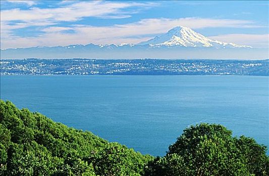 华盛顿,西雅图,山,雷尼尔山,普吉特湾,绿色植物,前景