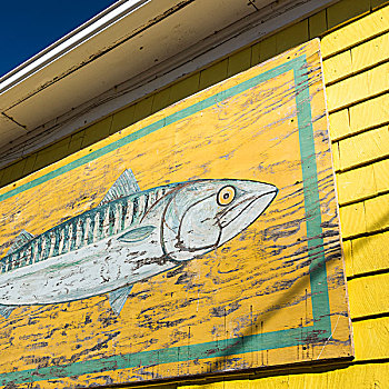 壁画,鱼,捕鱼,小屋,港口,北方,爱德华王子岛,加拿大