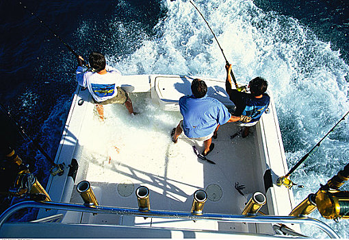 俯视,男人,钓鱼,船,佛罗里达,美国