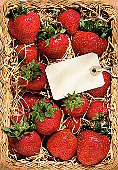 草莓,篮子,留白,标签