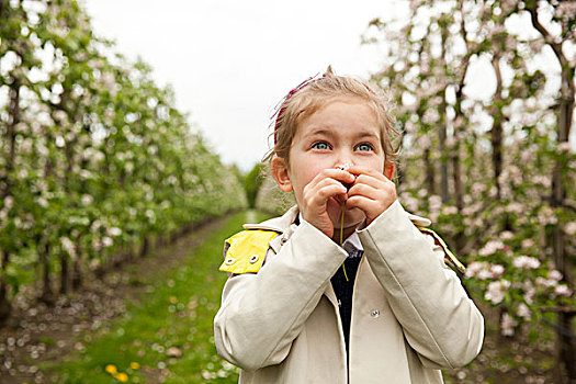 女孩,苹果,种植园