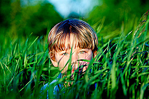 男孩,隐藏,草丛