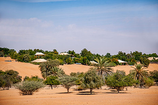 迪拜沙漠保护区中心的阿玛哈豪华精选沙漠水疗度假酒店