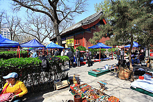 北京报国寺文化市场春意盎然