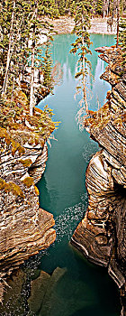 阿萨巴斯卡河,峡谷,碧玉国家公园,艾伯塔省,加拿大