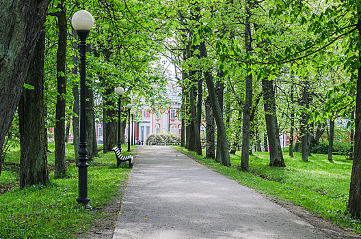 美景,小路,春天,公园,塔林,爱沙尼亚