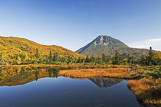 湖,山,秋叶