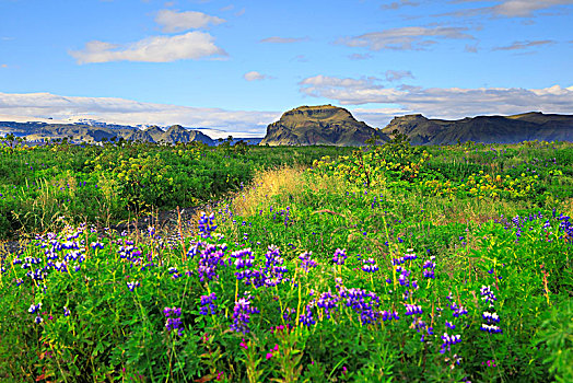 冰岛,瑟德兰德,背景