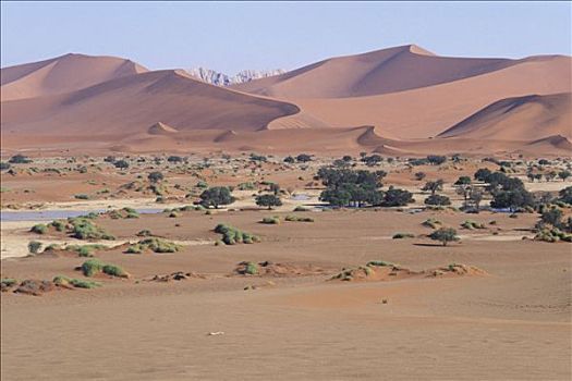纳米比亚,纳米布沙漠,索苏维来地区,国家公园,全景,沙丘,自然,盆地,满,水