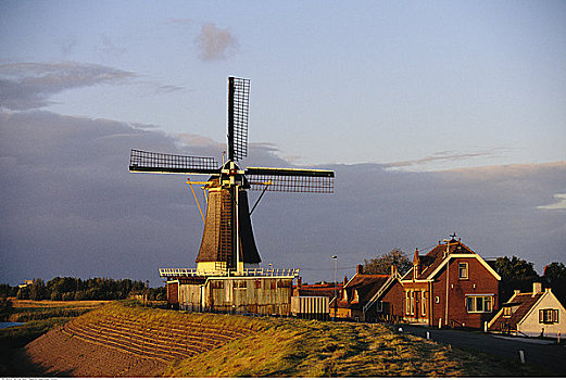 风车,小镇,荷兰