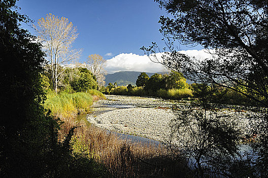 河,景色,自然保护区,南岛,新西兰