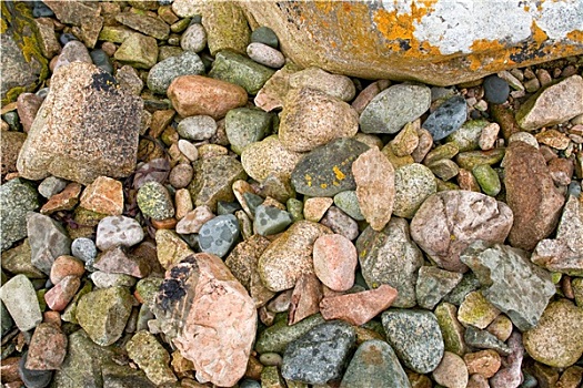花冈岩,鹅卵石,粉色,海岸,布列塔尼半岛