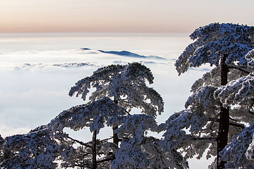 大美黄山