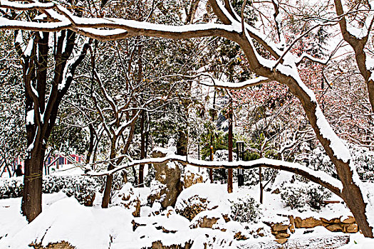 雪景