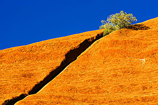缝隙,艾尔斯岩,北领地州,澳大利亚