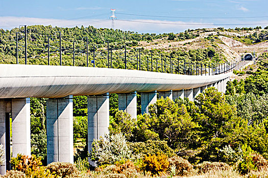 铁路,高架桥,高速火车,列车,靠近,普罗旺斯,法国