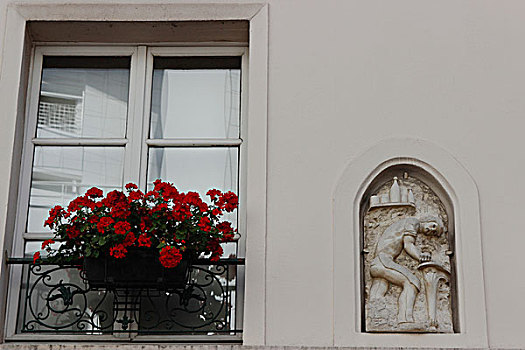 法国,巴黎,11世纪,地区,通道,特写,窗,红花,招牌,工厂