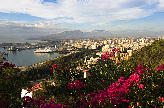 西班牙,哥斯达黎加,马拉加,俯视,城市,港口,叶子花属