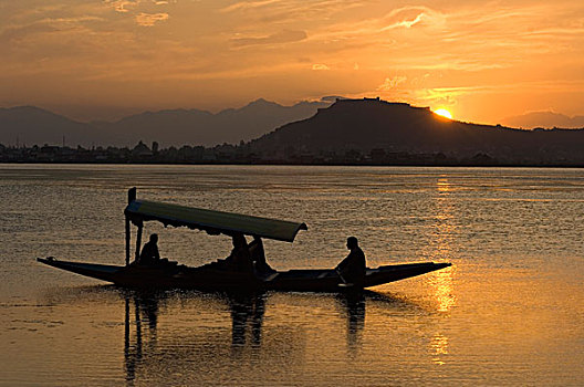湖,日落,斯利那加,查谟-克什米尔邦,印度