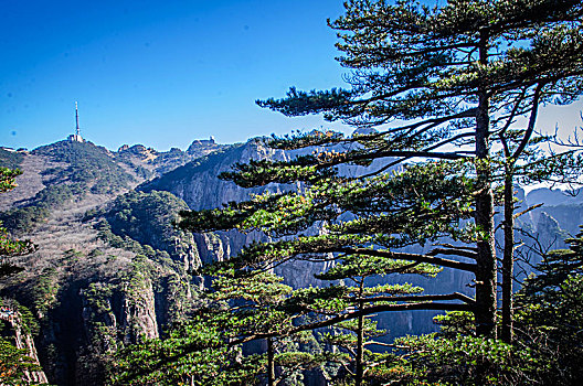 黄山风光