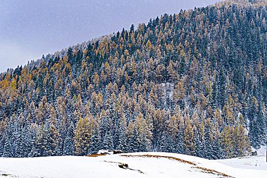 东天山雪景美如画